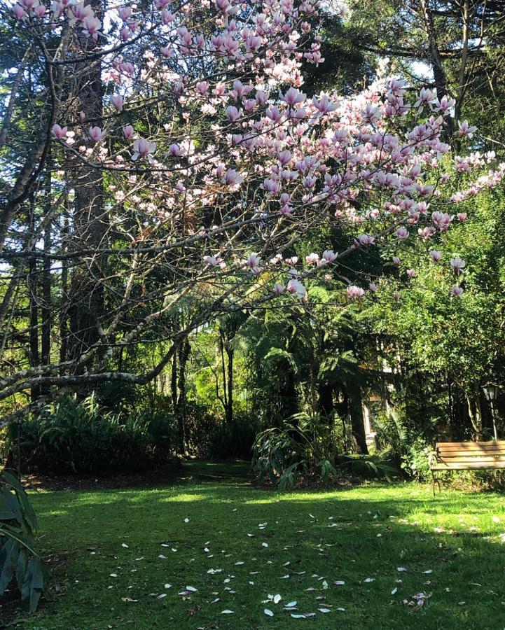 Casa Goldoni Gramado Villa Luaran gambar