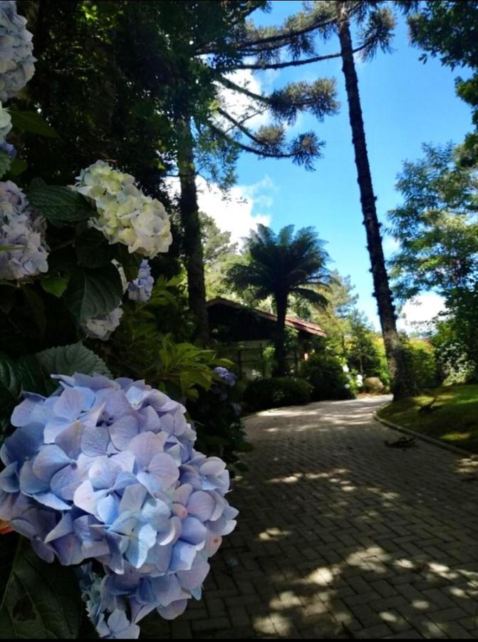 Casa Goldoni Gramado Villa Luaran gambar